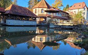 Ворота Карпат