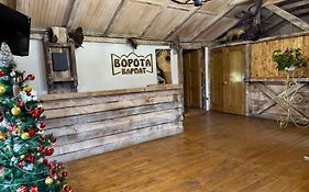 Ворота Карпат